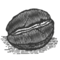 cap-mundo-bio-compost_favicon cap-mundo-bio-compost_favicon
